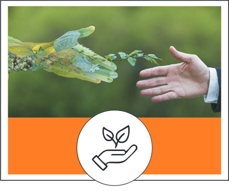 Sustainable Business